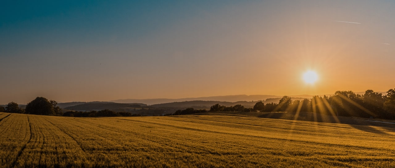 sunny field background image